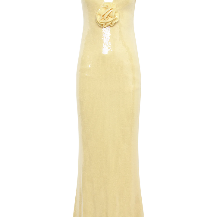 Eliza Rose Sequin Maxi Dress